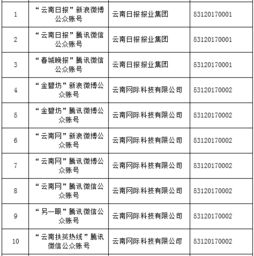 云南信息報(bào)旗下六產(chǎn)品獲首批互聯(lián)網(wǎng)新聞信息服務(wù)許可，賦能區(qū)域信息服務(wù)新格局